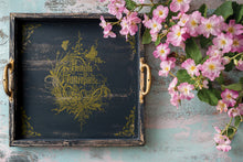 Load image into Gallery viewer, Athenaeum Metallic Foil Transfer 8x12 by Iron Orchid Designs