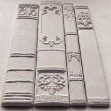 Load image into Gallery viewer, Bookish Mould by IOD
