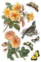 Load image into Gallery viewer, By Any Other Name Decor Transfers 8x12 by IOD