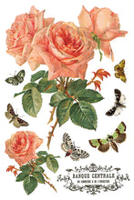 Load image into Gallery viewer, By Any Other Name Decor Transfers 8x12 by IOD