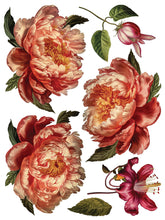 Load image into Gallery viewer, Collage de Fleurs Decor Transfers