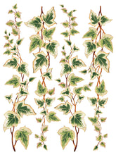 Load image into Gallery viewer, Collage de Fleurs Decor Transfers