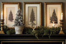 Load image into Gallery viewer, Gloria Paint Inlay *Limited Holiday Release