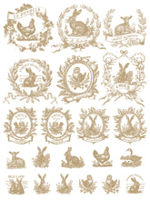 Load image into Gallery viewer, Spring Melody Paint Inlay by IOD *Limited Release