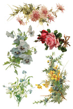 Load image into Gallery viewer, Catharina Decor Transfers 8 x 12 by IOD