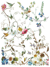 Load image into Gallery viewer, Lost Garden Transfer Set by IOD