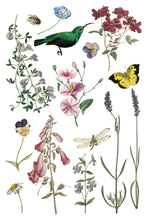 Load image into Gallery viewer, Wild Bloemen Decor Transfers 8x12 by IOD