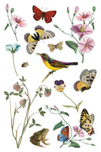 Load image into Gallery viewer, Wild Bloemen Decor Transfers 8x12 by IOD