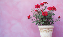 Load image into Gallery viewer, Ditsy Blooms Paint Inlay by IOD *Limited Release