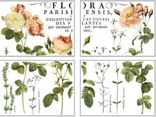 Load image into Gallery viewer, Flora Parisienesis Decor Transfers