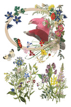 Load image into Gallery viewer, Flora Greca Decor Transfers 8x12 by IOD
