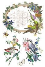 Load image into Gallery viewer, Flora Greca Decor Transfers 8x12 by IOD