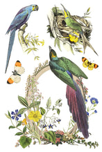 Load image into Gallery viewer, Flora Greca Decor Transfers 8x12 by IOD
