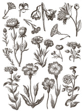 Load image into Gallery viewer, Floriography Paint Inlay by IOD *Limited Release