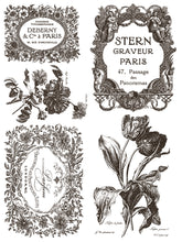 Load image into Gallery viewer, Floriography Paint Inlay by IOD *Limited Release