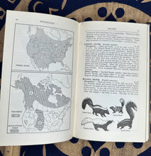 Load image into Gallery viewer, Vintage Book "Field Guide to the Mammals" 1956 - September Live Sale 2026