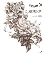 Load image into Gallery viewer, May's Roses Decor Transfer Set