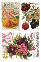 Load image into Gallery viewer, Seed Catalogue Decor Transfer 8 x 12" Set