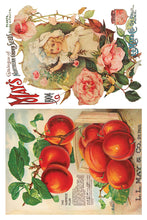 Load image into Gallery viewer, Seed Catalogue Decor Transfer 8 x 12" Set