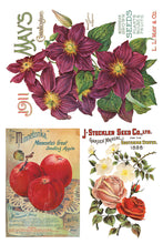 Load image into Gallery viewer, Seed Catalogue Decor Transfer 8 x 12" Set