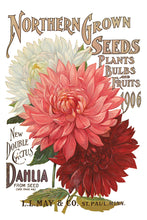 Load image into Gallery viewer, Seed Catalogue Decor Transfer 8 x 12" Set