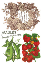 Load image into Gallery viewer, Seed Catalogue Decor Transfer 8 x 12" Set
