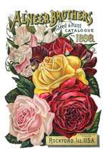 Load image into Gallery viewer, Seed Catalogue Decor Transfer 8 x 12" Set