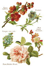 Load image into Gallery viewer, Lover of Flowers Decor Transfers 8 x 12