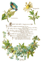 Load image into Gallery viewer, Lover of Flowers Decor Transfers 8 x 12