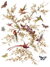 Load image into Gallery viewer, Madeline Transfer Set by IOD