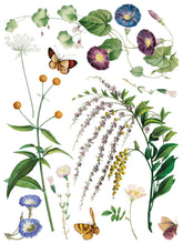 Load image into Gallery viewer, Marche' des Fleurs Rub on Transfer Set by IOD