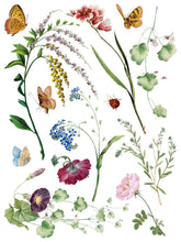 Load image into Gallery viewer, Marche' des Fleurs Rub on Transfer Set by IOD