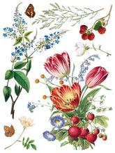 Load image into Gallery viewer, Marche' des Fleurs Rub on Transfer Set by IOD