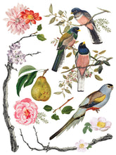 Load image into Gallery viewer, Menagerie Transfer Set by IOD