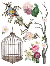 Load image into Gallery viewer, Menagerie Transfer Set by IOD