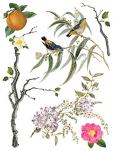 Load image into Gallery viewer, Menagerie Transfer Set by IOD