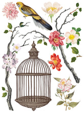 Load image into Gallery viewer, Menagerie Transfer Set by IOD