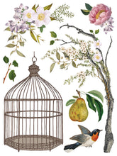 Load image into Gallery viewer, Menagerie Transfer Set by IOD