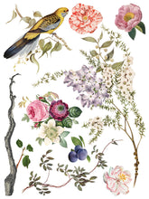 Load image into Gallery viewer, Menagerie Transfer Set by IOD