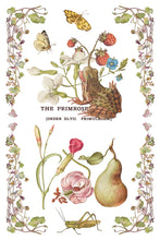 Load image into Gallery viewer, Primrose Isle Rub on Transfers 8x12 by IOD
