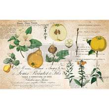 Load image into Gallery viewer, Primrose Decoupage Paper ~19x30 Fiber Paper