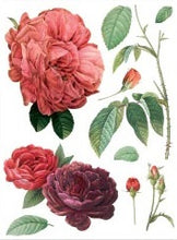 Load image into Gallery viewer, Redoute II Decor Transfers