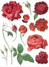 Load image into Gallery viewer, Redoute II Decor Transfers