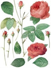 Load image into Gallery viewer, Redoute II Decor Transfers