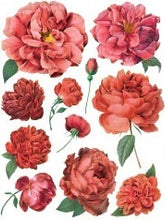 Load image into Gallery viewer, Redoute II Decor Transfers