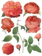 Load image into Gallery viewer, Redoute II Decor Transfers