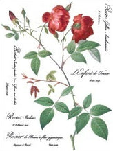 Load image into Gallery viewer, Redoute II Decor Transfers