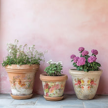 Load image into Gallery viewer, Saint Germain Transfer Set by IOD