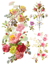 Load image into Gallery viewer, Saint Germain Transfer Set by IOD