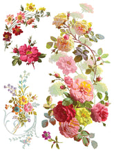 Load image into Gallery viewer, Saint Germain Transfer Set by IOD